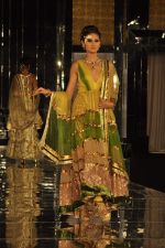 Model walk the ramp for Shane Falguni Show at Amby Valley India Bridal Week day 4 on 26th Sept 2011 (52).JPG